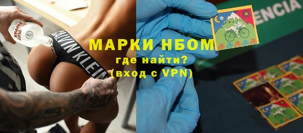 бошки Краснослободск