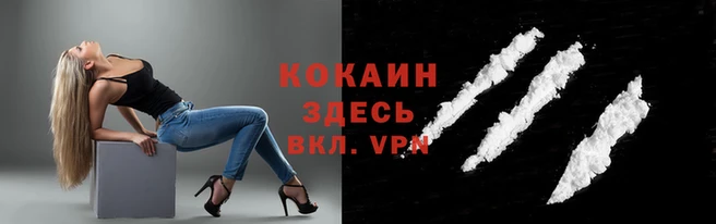 ГАЛЛЮЦИНОГЕННЫЕ ГРИБЫ Кукмор