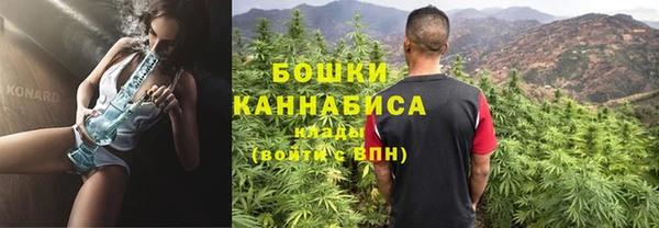 ГАЛЛЮЦИНОГЕННЫЕ ГРИБЫ Кукмор